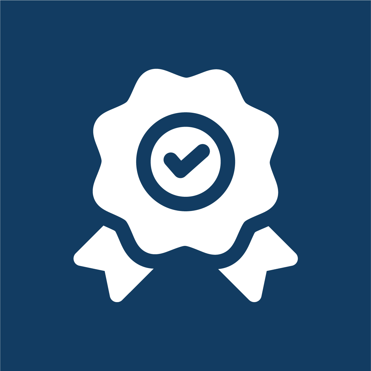 Iconosweb-16